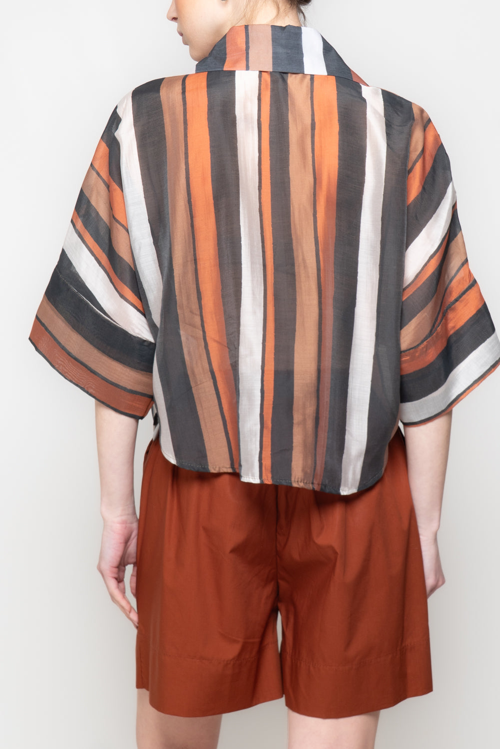 Camicia a Righe Multicolor